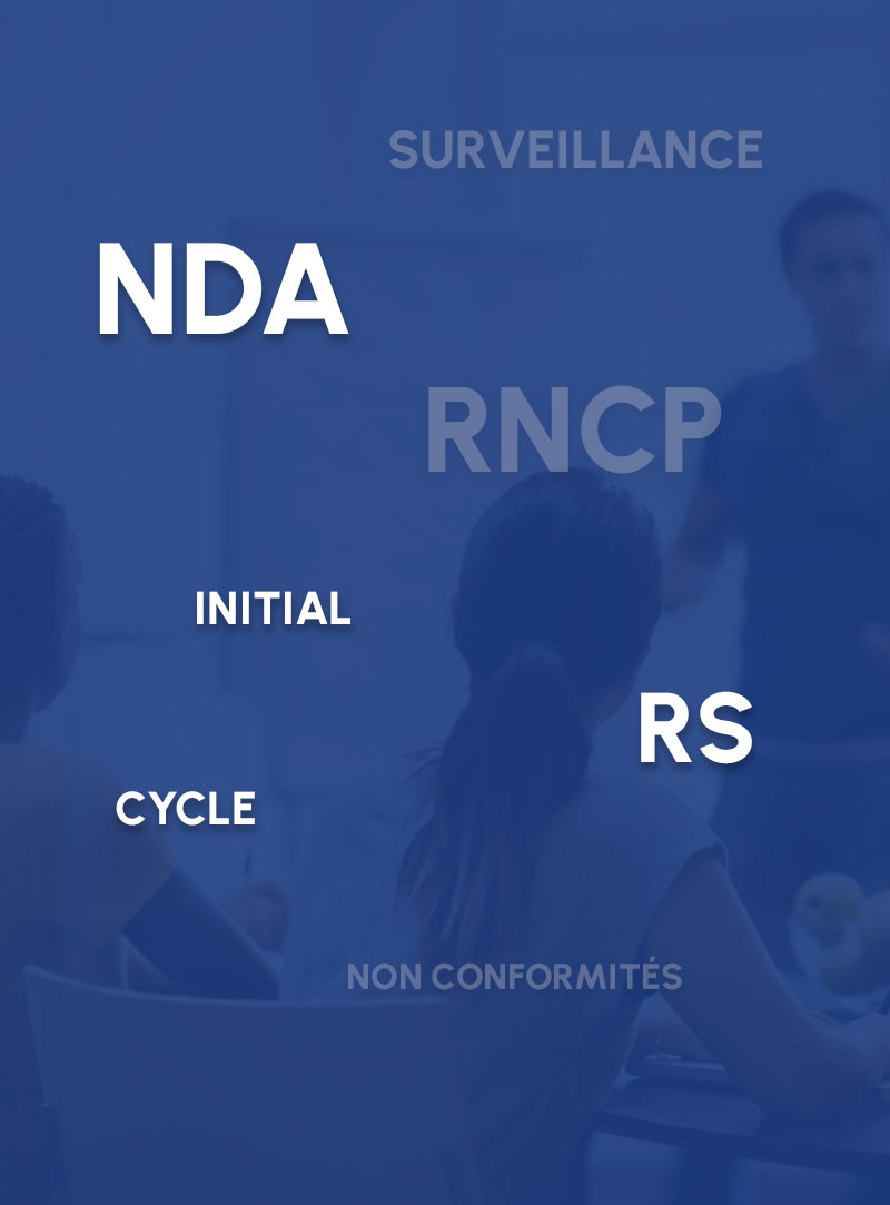Une formation qualiopi avec Label Qualité Système